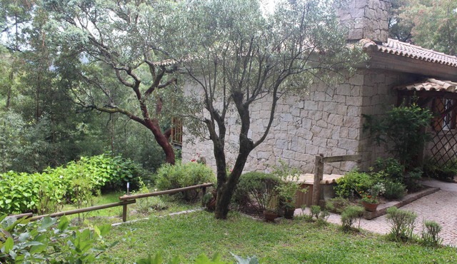 Bouço Velho's Corner