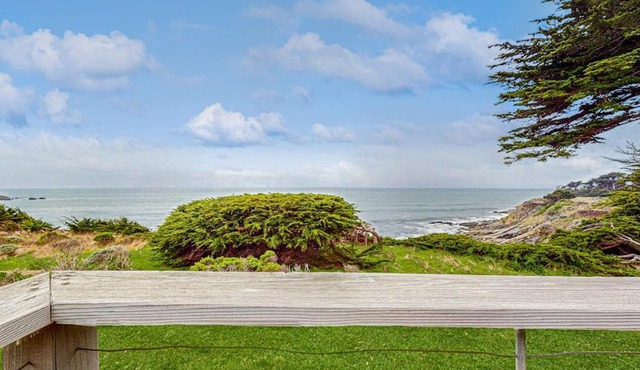 Brammer's Bluff