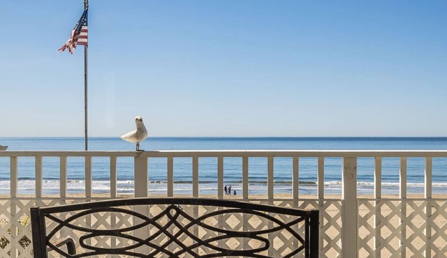 Breathtaking Beach Front House - Steps to the Sand