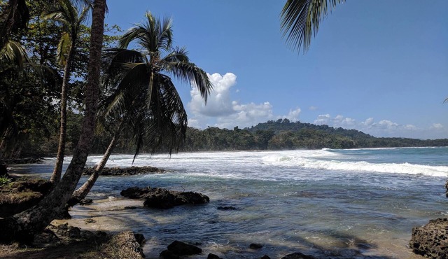 Caribbean Alchemy Cocles Beach