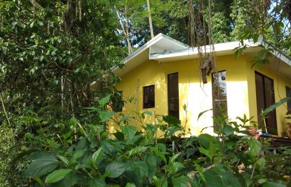 Caribbean Forest Cabins
