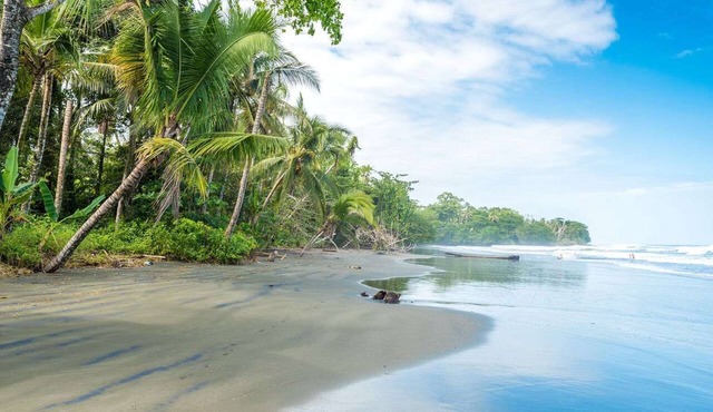 Casa Amarilla Caribbean stay