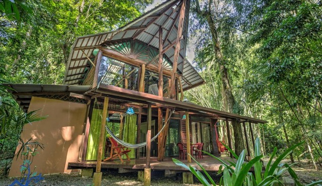 Casa Auratus Exotic Jungle House