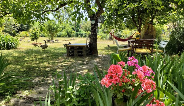 Casa das Palmeiras - Pedagogic Farm
