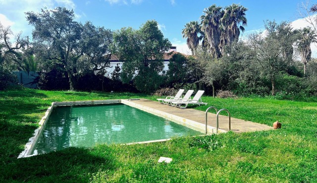 Casa de Campo Moderna perto de Évora