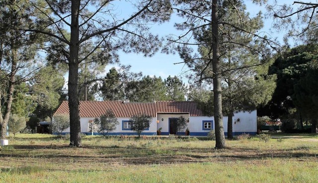 Casa do Pinheiro