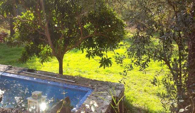 Casa do Tanque - Casa da Cerca