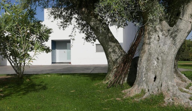 Casa do Vale da Terra Negra