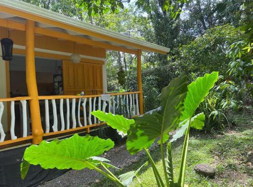 Casa gardenia cocles beach