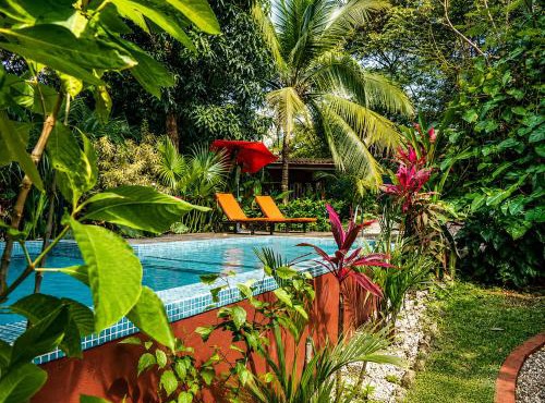 Casa Mapache Pool and Breakfast Available near Tamarindo Beach