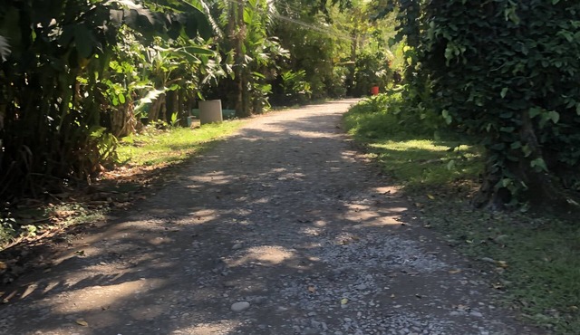 🐒CASA MONO VERDE 10 minutes walk to playa blanca, The National Park, Mepe Bus