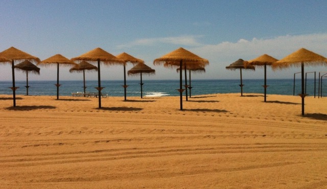 Casa Rocha in Portugal with a small pool! . "promo from August 17th to 24th" .