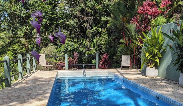 Casa Toucan: Private Jungle Setting with Ocean-View and 40 Foot Pool