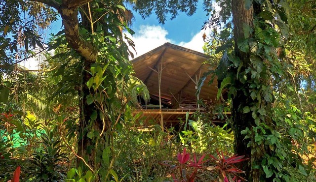 Cascada Verde Eco Lodge & Hostel