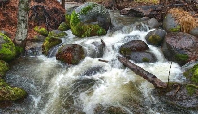 Charming house near Yosemite with a Creek