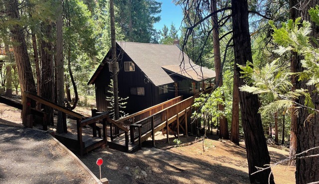 Charming Pet-friendly Chalet-style Cabin Getaway —Lakemont lake access