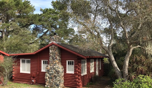 Classic Antique Cabin in Cambria - near ocean and forest