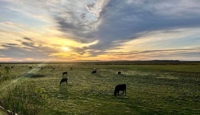 Coastal, Farm & Charm! Linen, Wi-fi, Pet Friendly