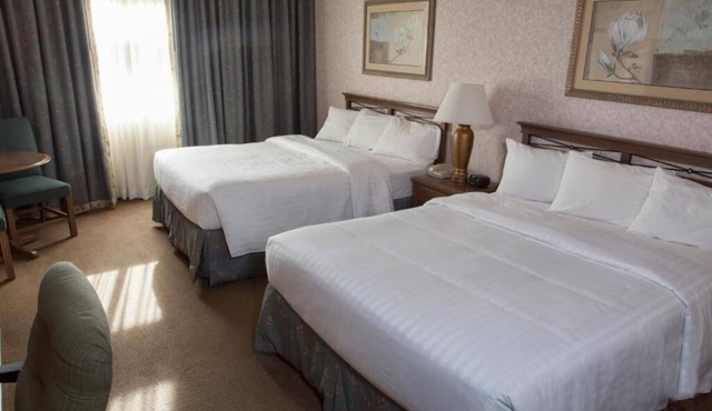 Comfortable Queen Stay with Gym Access, Shuttle & Parking!