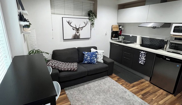 Comfy bright & clean 1 bed #8 central location
