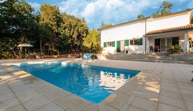 Comfy house with large garden and swimming pool
