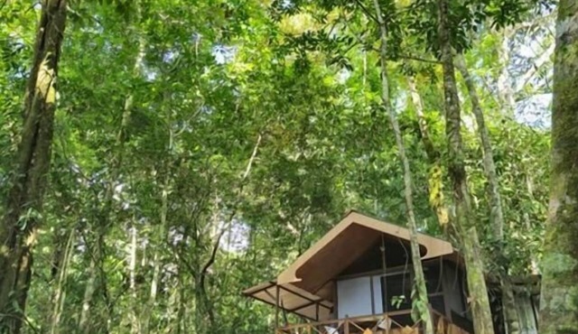 Cool Waters Jungle Villas