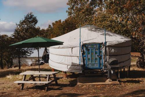 Cosy yurt at a nature retreat in Sequoia Forest