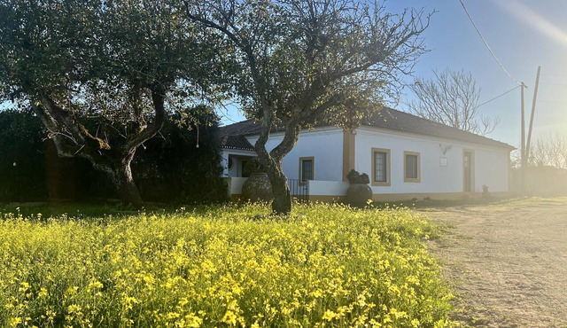Country house retreat, 10 min away from Évora city center!