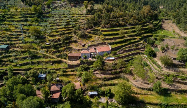 Country House - Rustic House