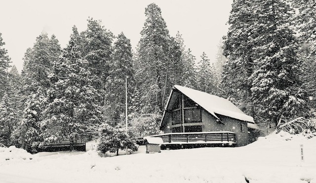 Cozy 4bd, 2bth cabin in Murphys, on 2 acres close to vineyards & Bear Valley!