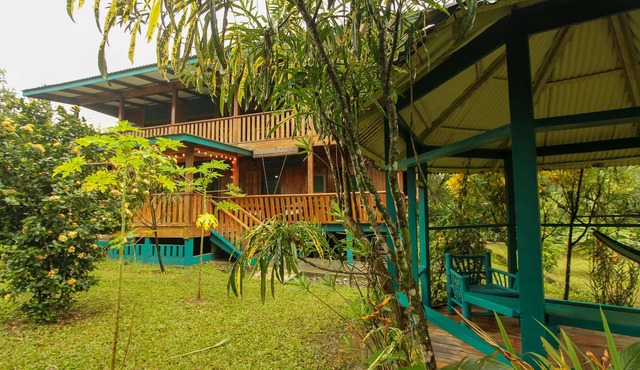 Cozy Caribbean Beachfront House (Pet & Kid Friendly)