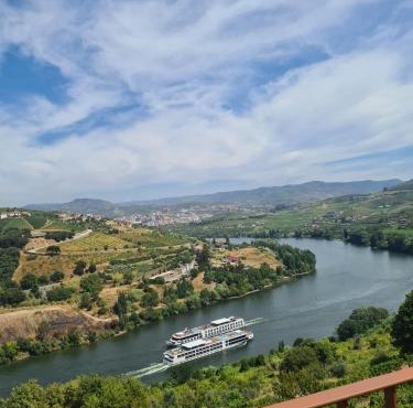 Delfim Douro Hotel