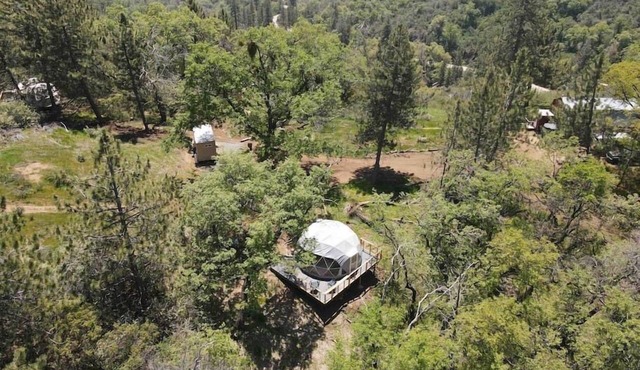 Dome 3 - Enchanted Forest