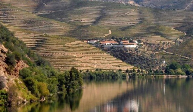 Douro House Loft
