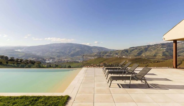 Douro Valley Luxury Home w Vineyard Infinity Pool