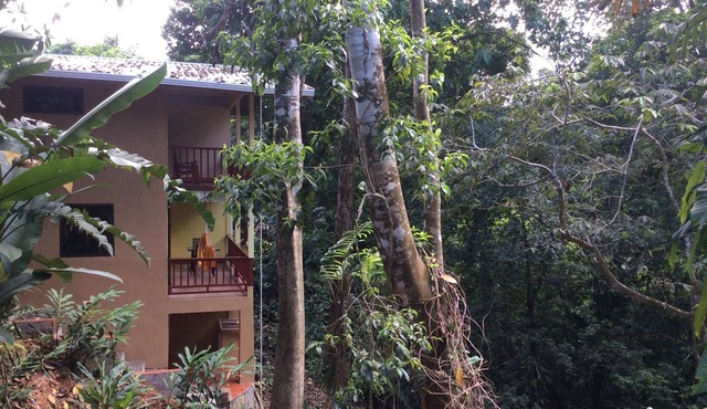 Drake BayTown, Mango St Cason w A/C, Osa Pen. Gateway to Corcovado