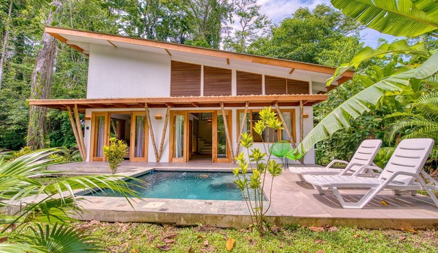 Duna House. Tropical design with private pool