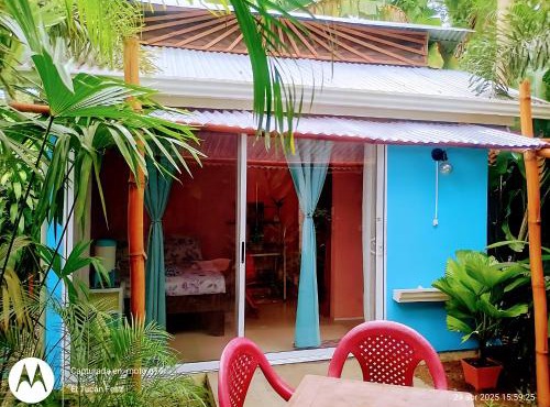 El Tucan Feliz - Boho Jungle Tiny Guest House & Mini Pool Oasis