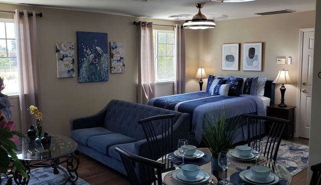 Elegant Studio Apt. House Near Emanuel Hospital