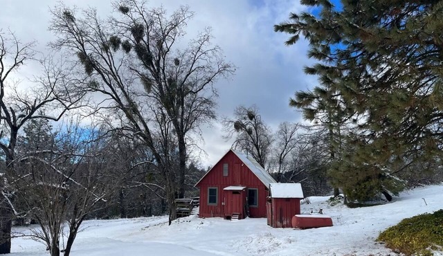 EV Charging - Cozy Private Cabin 12 minutes from Kings Canyon National Park