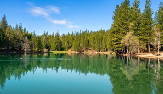 Family Cabin Near Murphys | Lake, Hiking & Stargazing