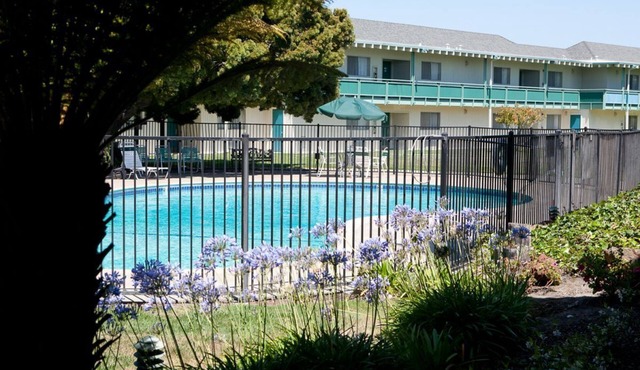 Family Vacation in Cali! Free Breakfast, Pool, Jacuzzi, Free Parking!