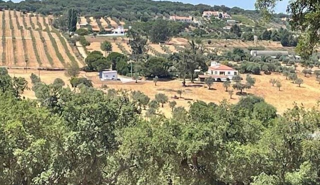 Farmhouse in Montemor-o-Novo with Swimming Pool