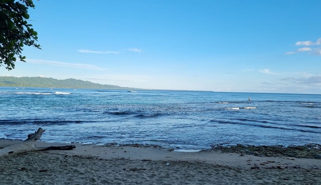 Farming Town Huts. Black Beach Puerto Viejo