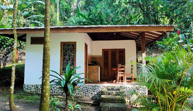 FINCA ARDILLA, ecolodge with swimming pool, for nature lovers.