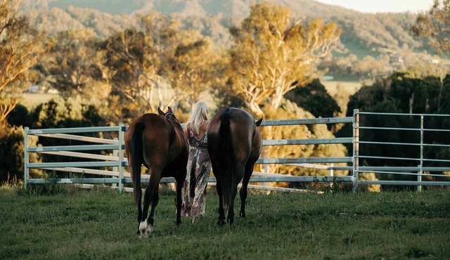 Frank's Place – Mid-Century Farmhouse & Horse Riders’ Haven