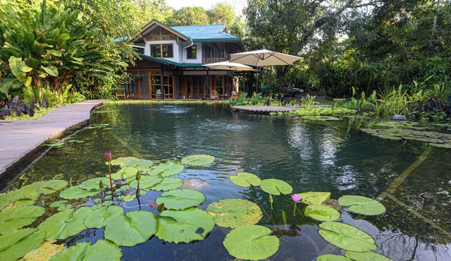 Gated Beachfront Community- Huge Natural Pool- TRIPLE Suites Birders delight!