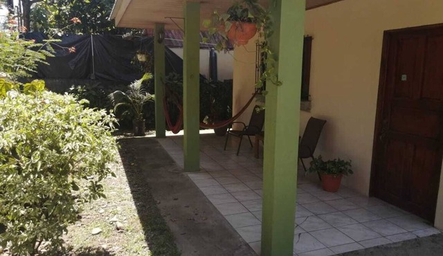 GREEN PARAKEET LITTLE HOUSE
