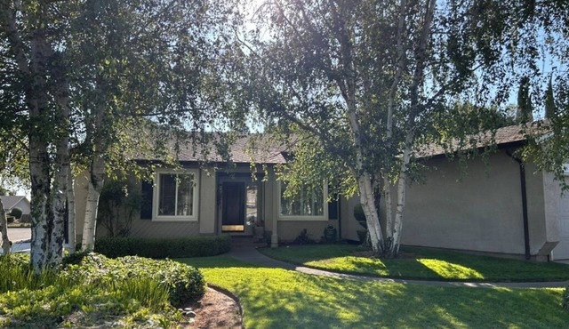Ham Station - 3 B/2 BA - Bright & Cheery Home - A Dog’s Dream!