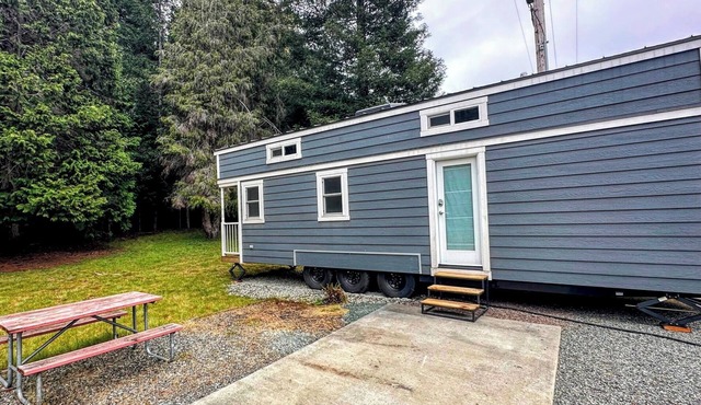 Have a blast in the Redwoods, then relax in tiny home comfort!